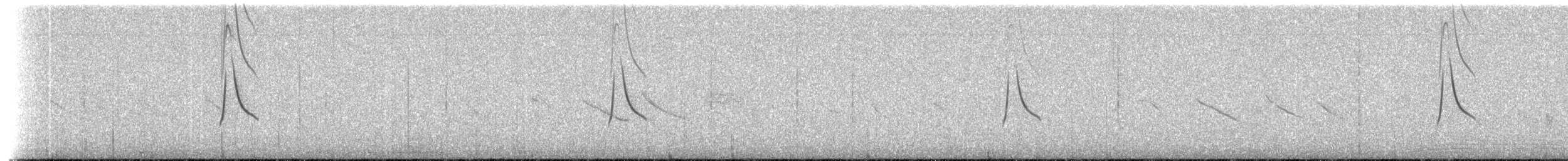 Дормілон плямистодзьобий - ML515481