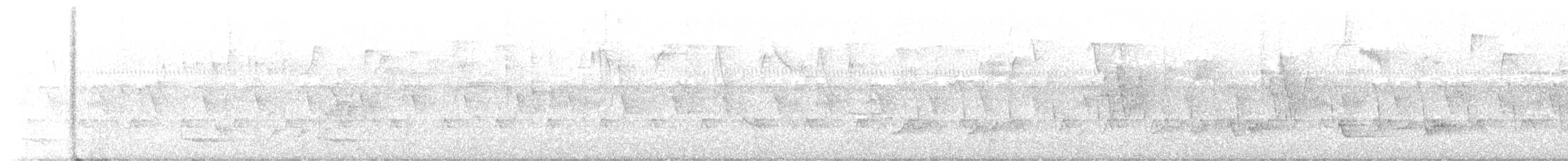 Malabar Trogon - ML515501521