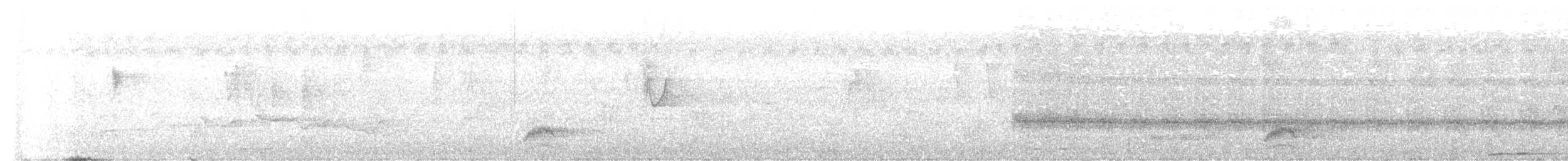 Dollarbird - ML515501601