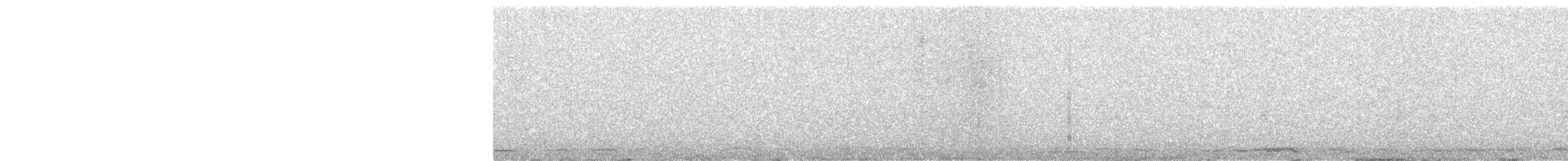 Cygne siffleur - ML515501801