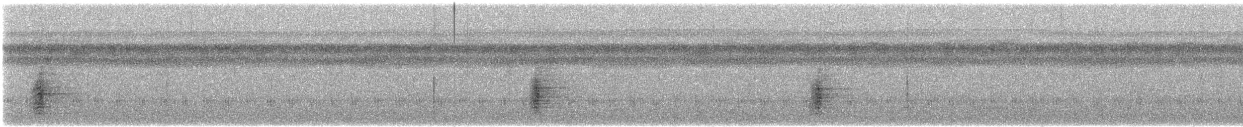 gråvingetrompetfugl - ML515519481