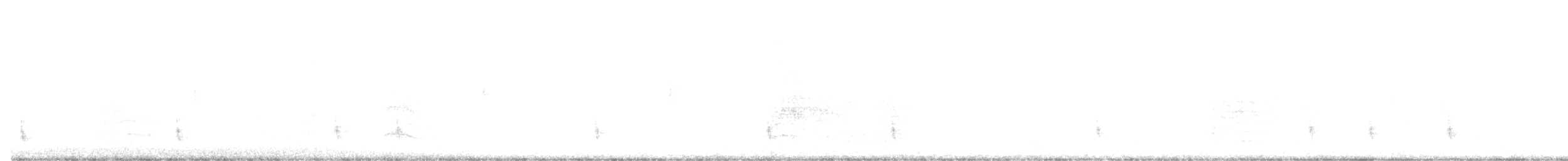 チャイロコツグミ - ML515527881