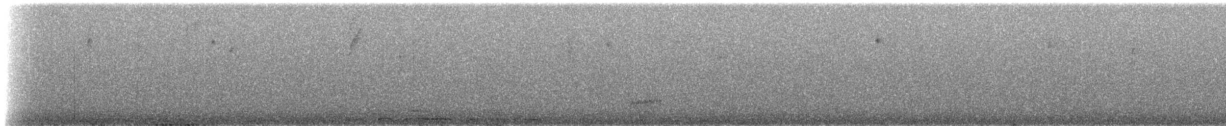 Élénie obscure - ML515566