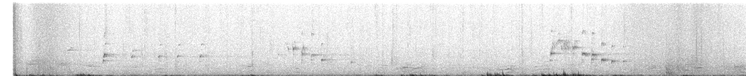 orel bělohlavý - ML515600121
