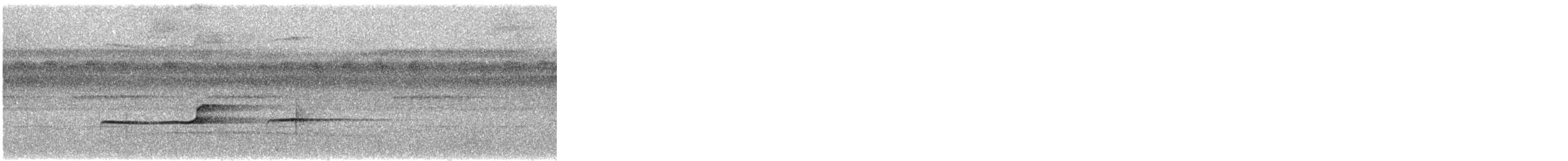 Olivaceous Schiffornis - ML515614311