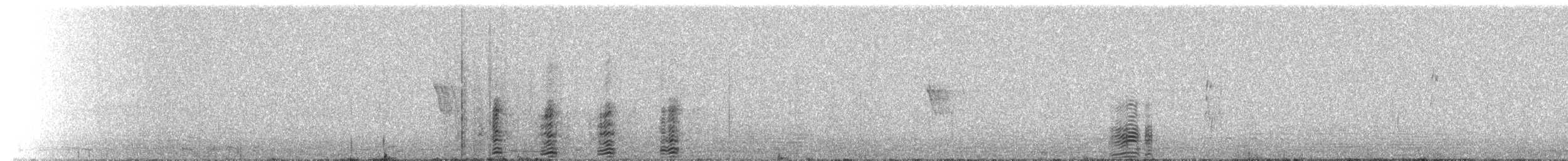 Ibis de Ridgway - ML515620471