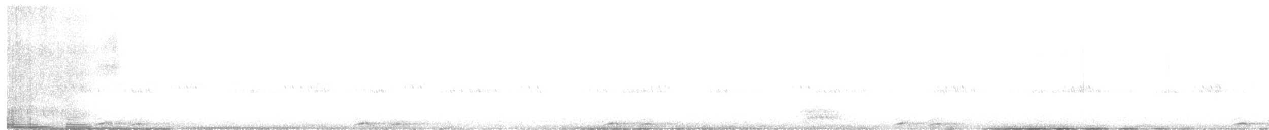 sovka štěkavá - ML515653661