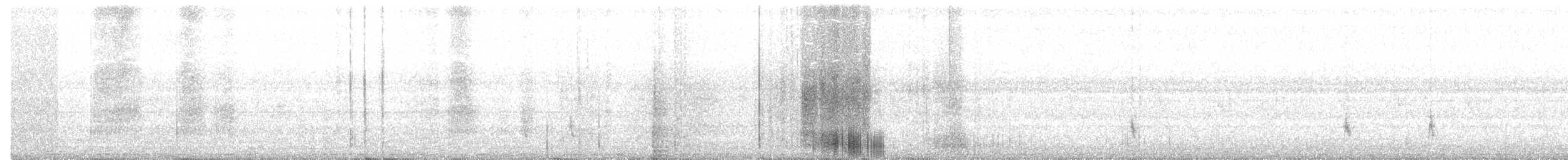 Дрізд-короткодзьоб плямистоволий - ML51574871
