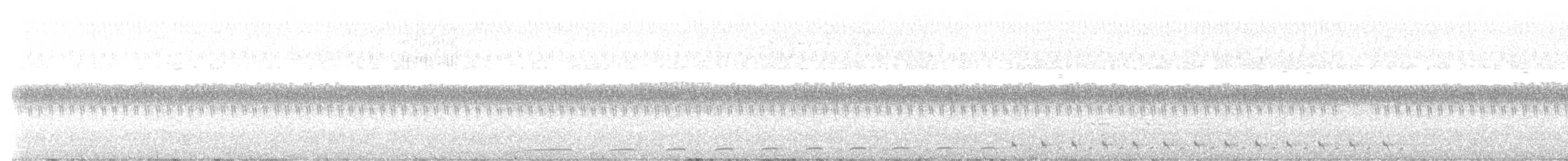 Spotted Nightjar - ML515751881