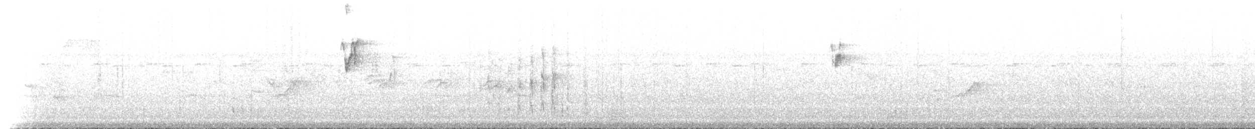 新幾內亞彩虹吸蜜鸚鵡 - ML515778