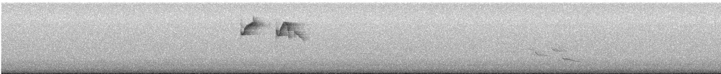 Тиран-крихітка золотогузий - ML515794481