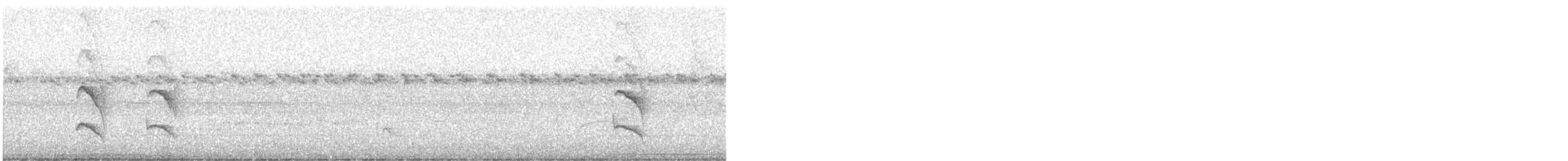 Weißflanken-Ameisenschlüpfer - ML515820701