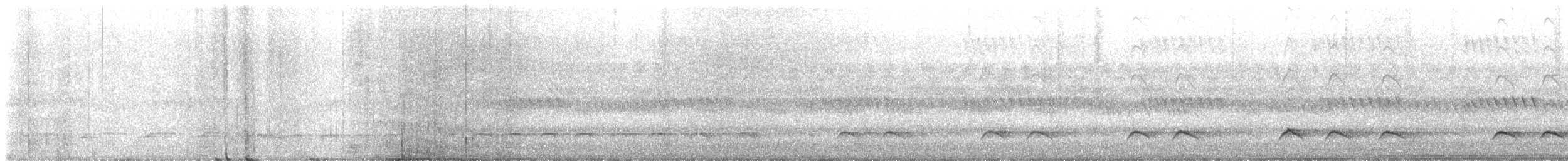 Spotted Thick-knee - ML515884031