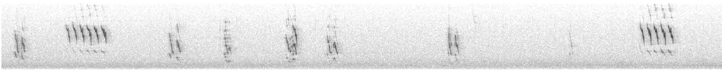 American Pipit - ML515908901