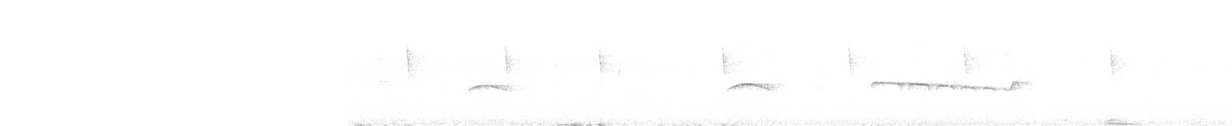Тиран-карлик жовточеревий - ML515942311