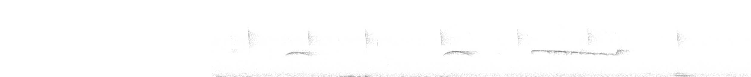Yellow-bellied Tyrannulet - ML515942311