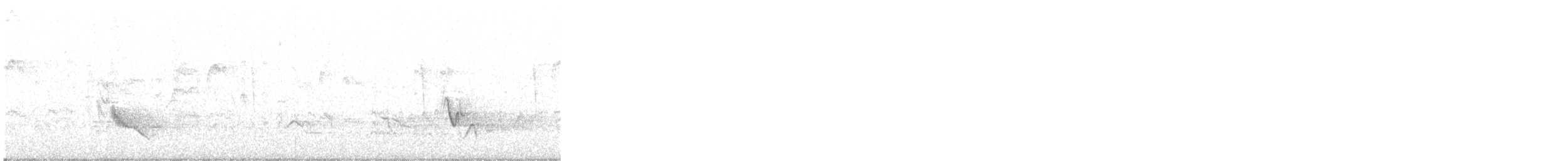 Plumbeous Vireo - ML515957181