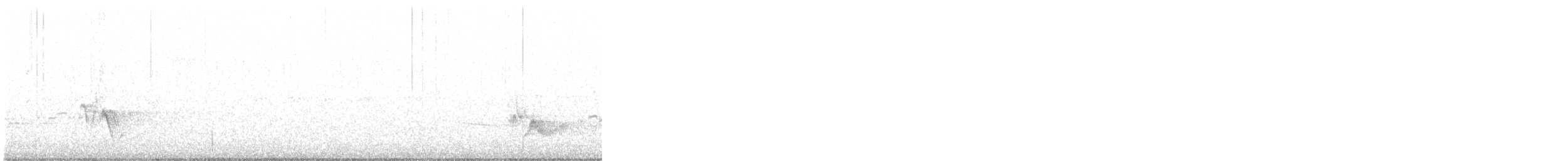 Plumbeous Vireo - ML515961701