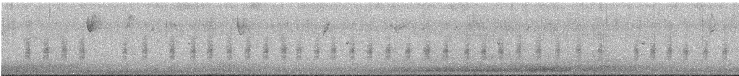 Northern House Wren - ML515967721