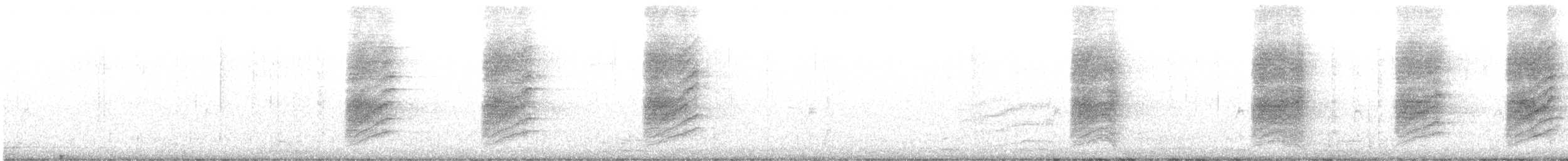 einerskrike (woodhouseii gr.) - ML515991311