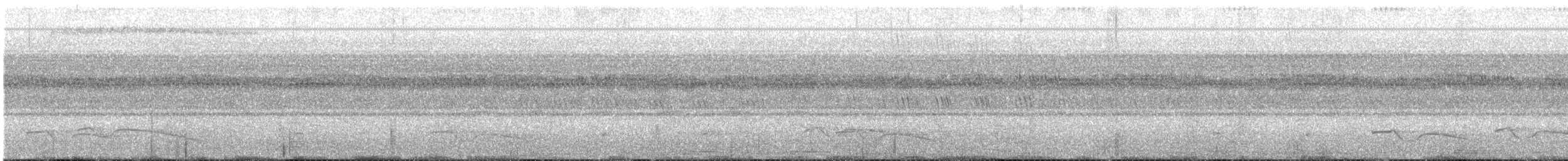 Great Eared-Nightjar - ML51599201