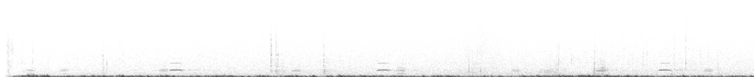 Chevêchette naine (groupe californicum) - ML515998351