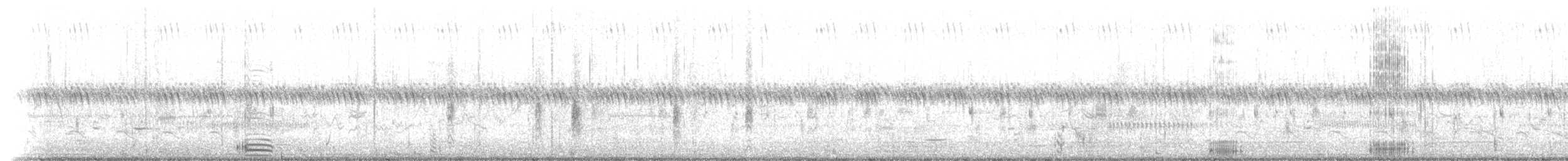 volavka bílá (ssp. egretta) - ML516004