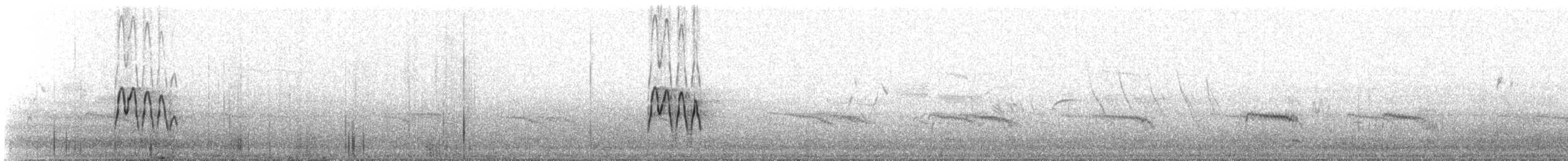 白腰燕鷗 - ML516015061