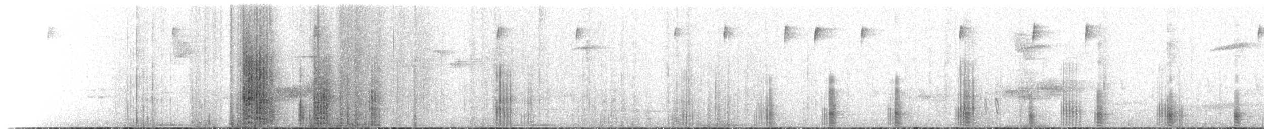 Weißkehlarassari (albivitta/phaeolaemus) - ML516028