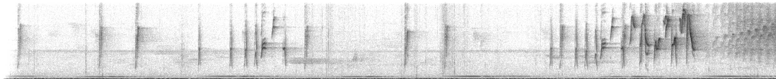 Серогрудый певун - ML516033