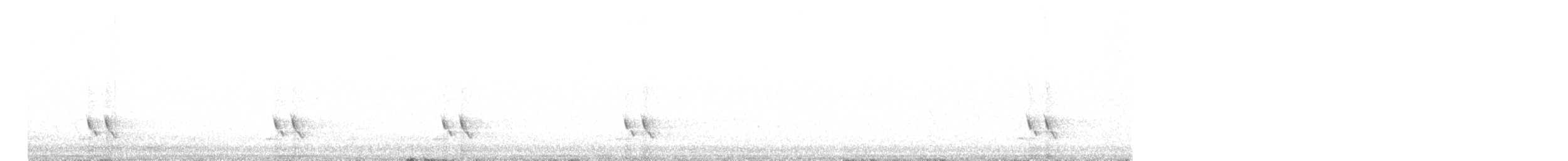 Streifenpanthervogel - ML516057191