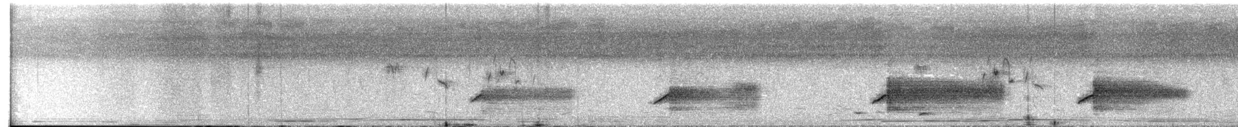 Black-winged Kite - ML516128781