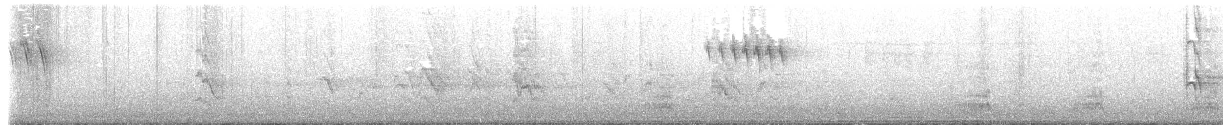 Gray Wagtail - ML516132221