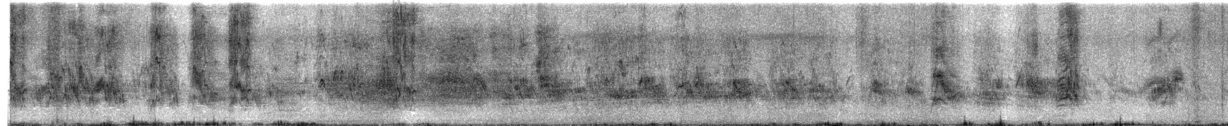 岸八哥 - ML516133301