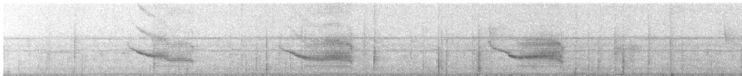 Мурав’янка-куцохвіст плямиста - ML516214471