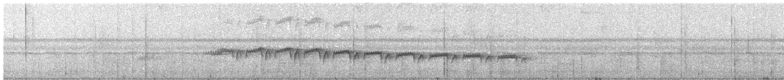 Мурав’янка-куцохвіст плямиста - ML516214481