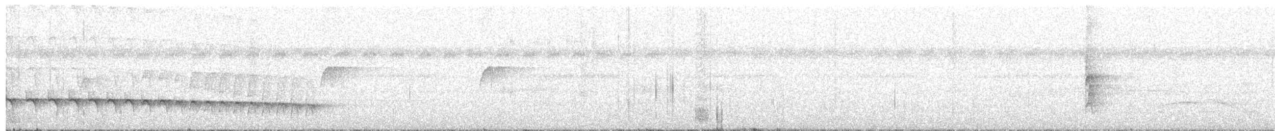 Schwarzkopf-Ameisenschnäpper - ML516226161