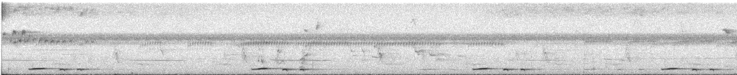 Küçük Kurşuni Güvercin - ML516232501