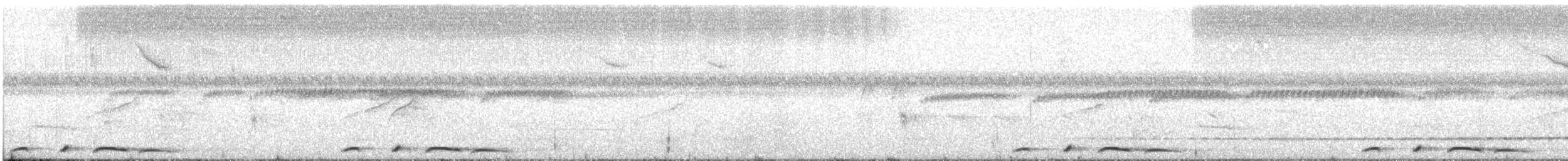 holub vínový (ssp. subvinacea/berlepschi) - ML516232541