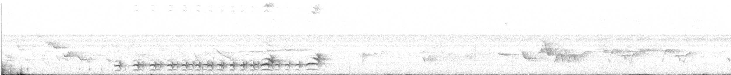 Black-crowned Antshrike - ML516232751