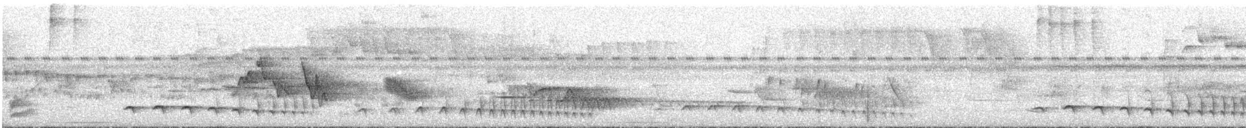 Olivgrau-Ameisenvogel - ML516232831