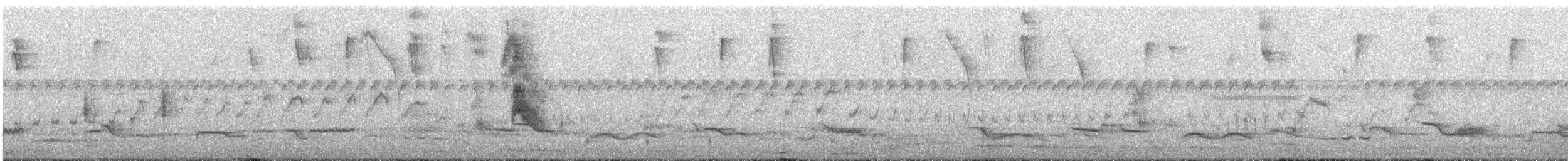 nariñoelenia - ML516235351