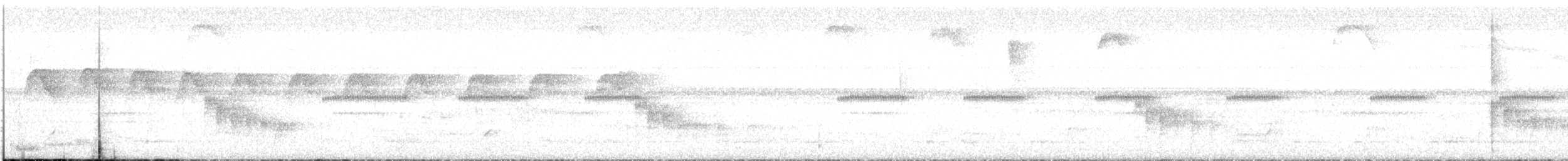 hvitpanneløvtyrann (leucogonys gr.) - ML516236151