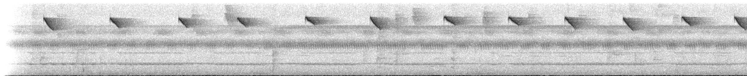 Коричневый колибри-отшельник - ML516249