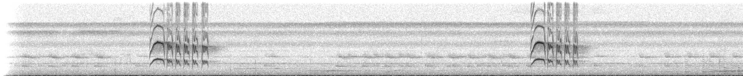 Ласточковый мухолов (ferruginea/sclateri) - ML516251