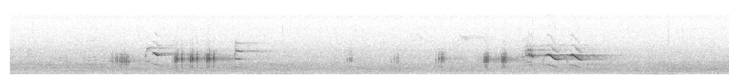 Great Reed Warbler - ML516252391