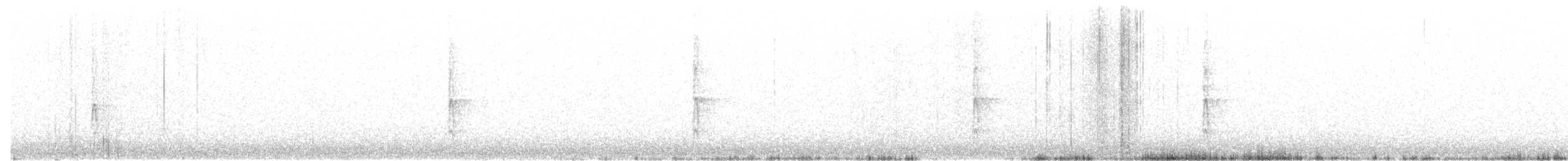 Buntspecht (canariensis/thanneri) - ML51625891