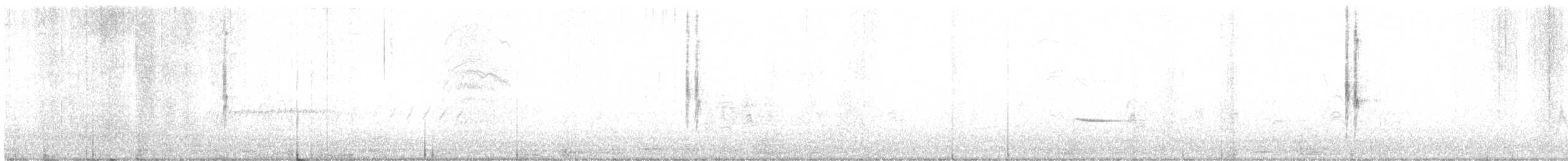 Dark-bellied Cinclodes - ML51627541