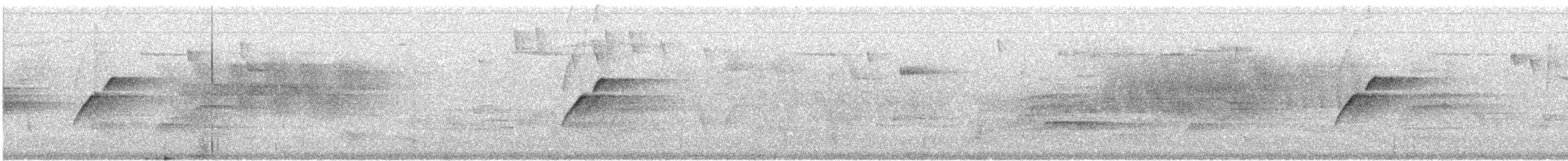 Batı Amerika Sinekkapanı (occidentalis/hellmayri) - ML516329801