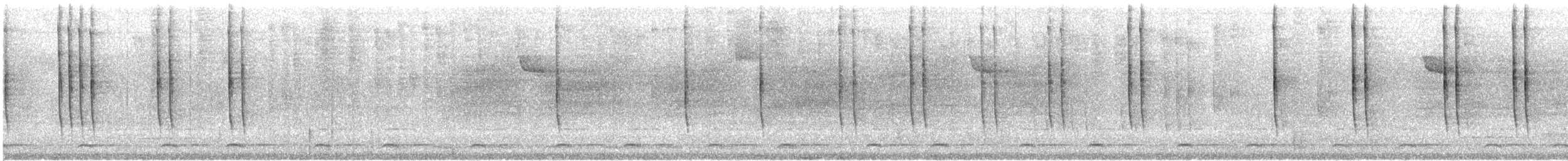Ak Kulaklı Kolibri - ML516330351